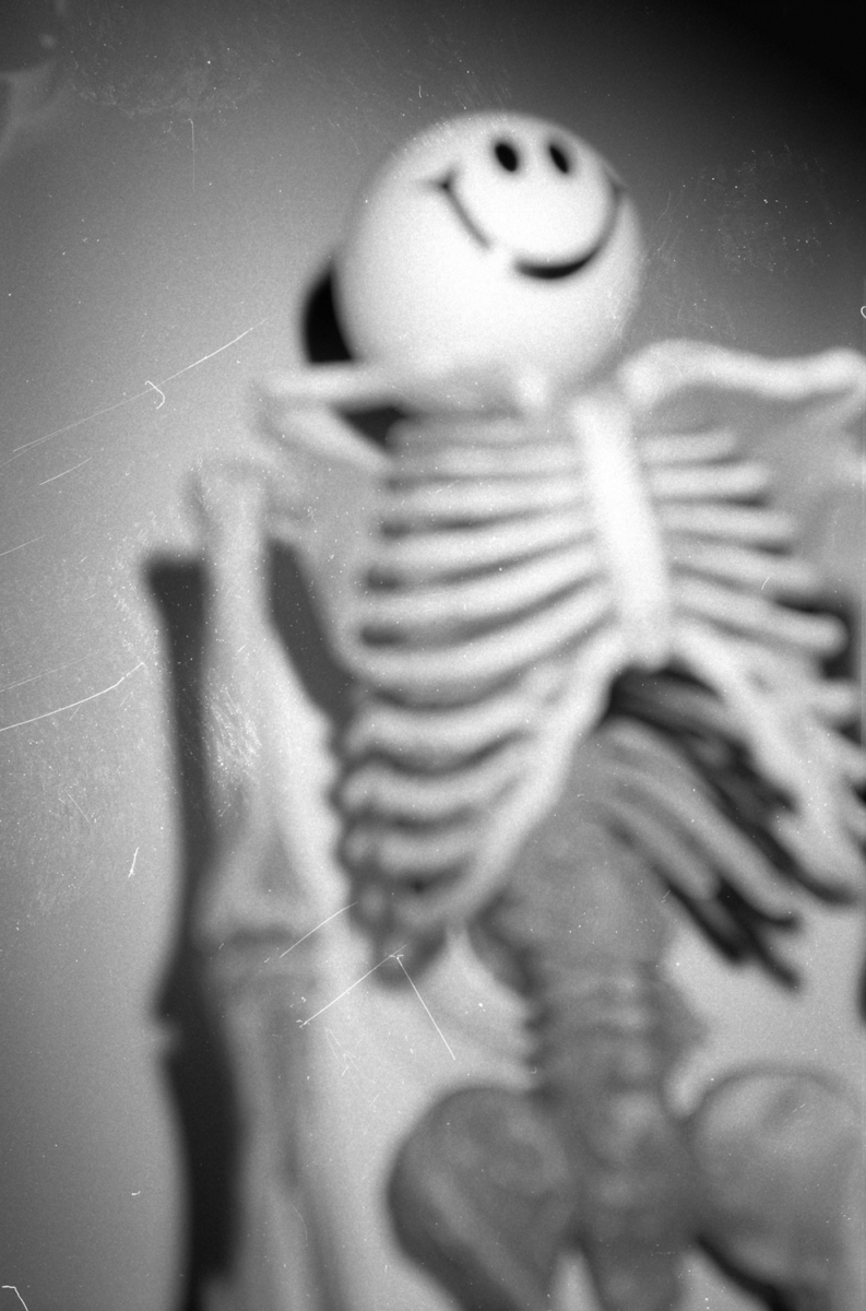 Entrisch, 2010 &mdash; 2022