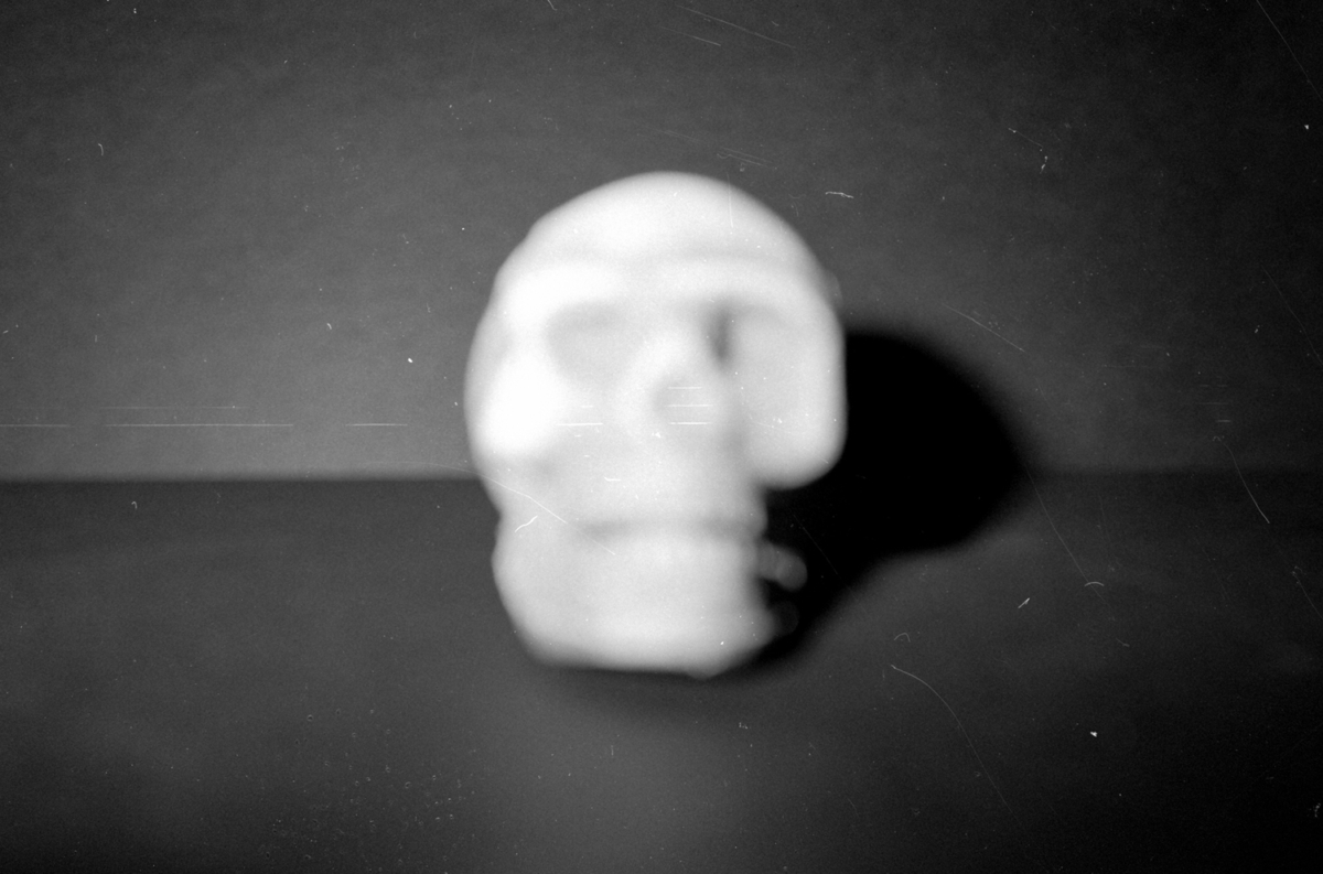 Entrisch, 2010 &mdash; 2022