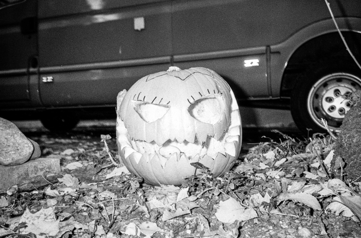 Entrisch, 2010 &mdash; 2022