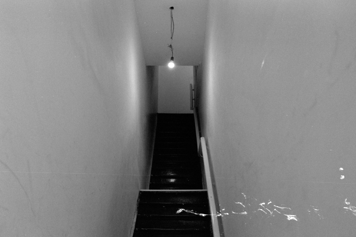 Entrisch, 2010 &mdash; 2022