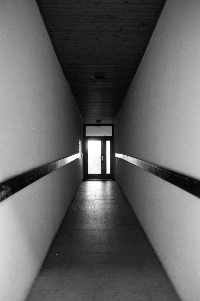 Entrisch, 2010 &mdash; 2022