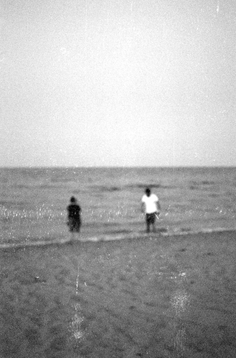 Entrisch, 2010 &mdash; 2022