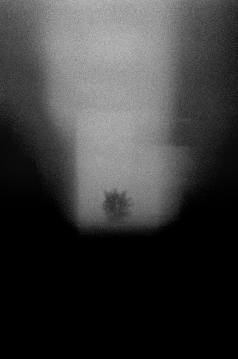 Entrisch, 2010 &mdash; 2022