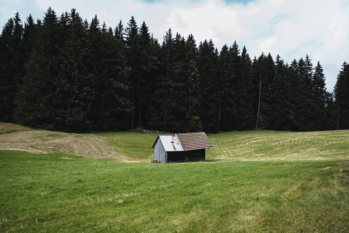 Ammerschlucht (2020)
