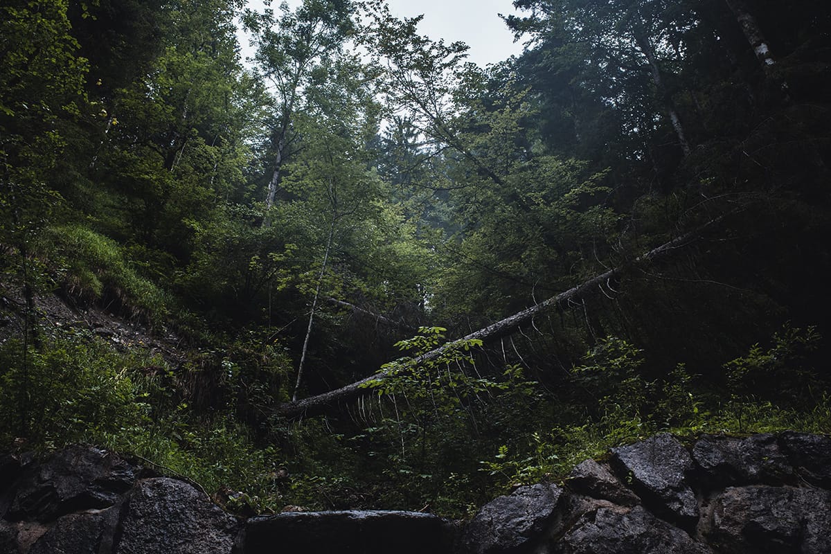 Tutzinger Hütte (2020)