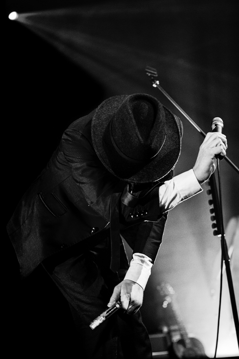 Peter Doherty (2017)