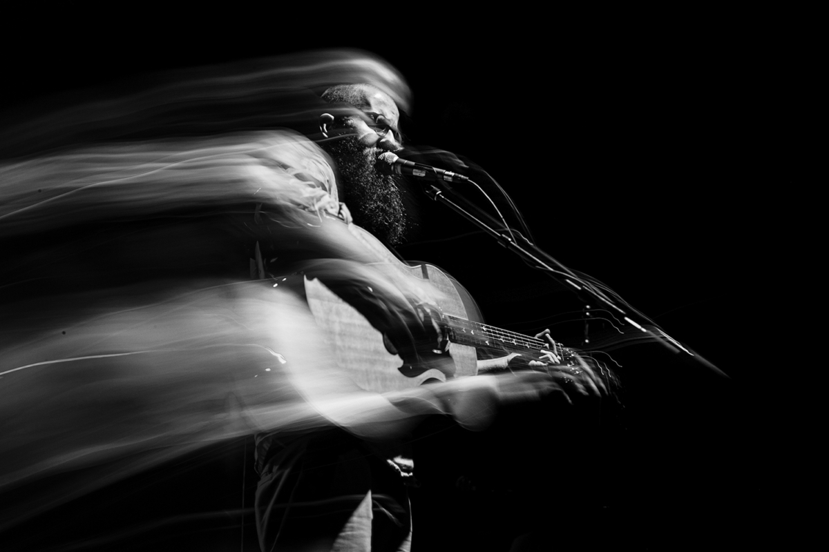 William Fitzsimmons (2011)