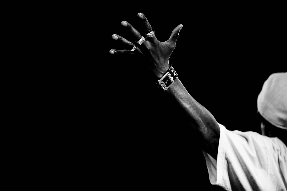 Public Enemy (2010)