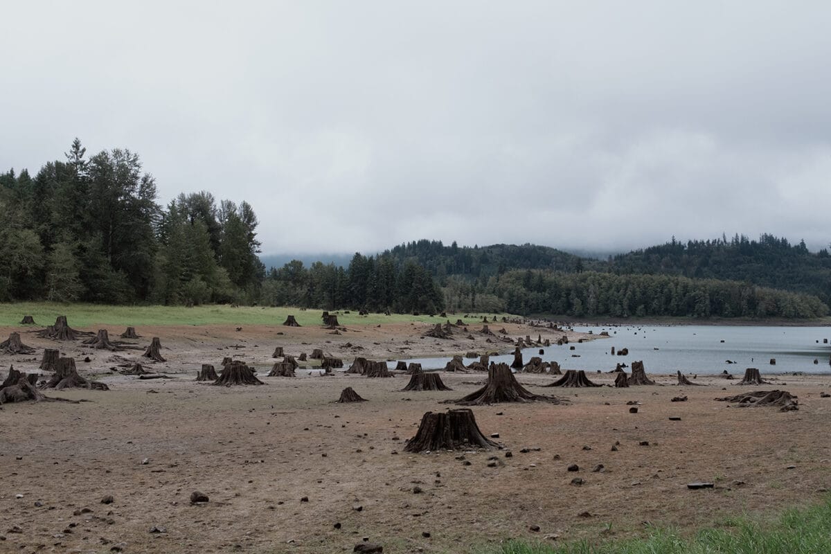Alder Lake, Washington