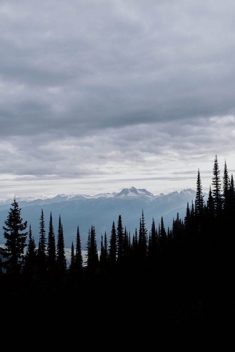 Mount Revelstoke / Summit Trail, British Columbia