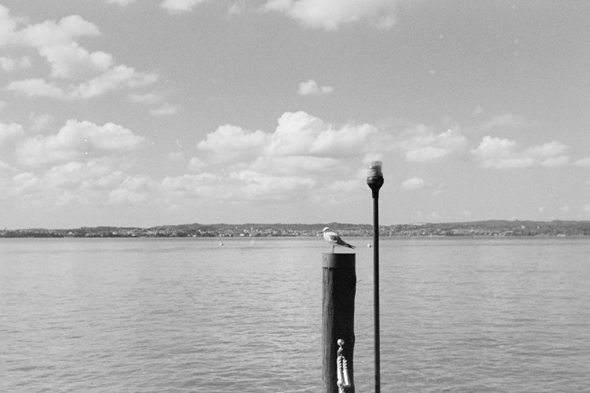 Italien, 2014