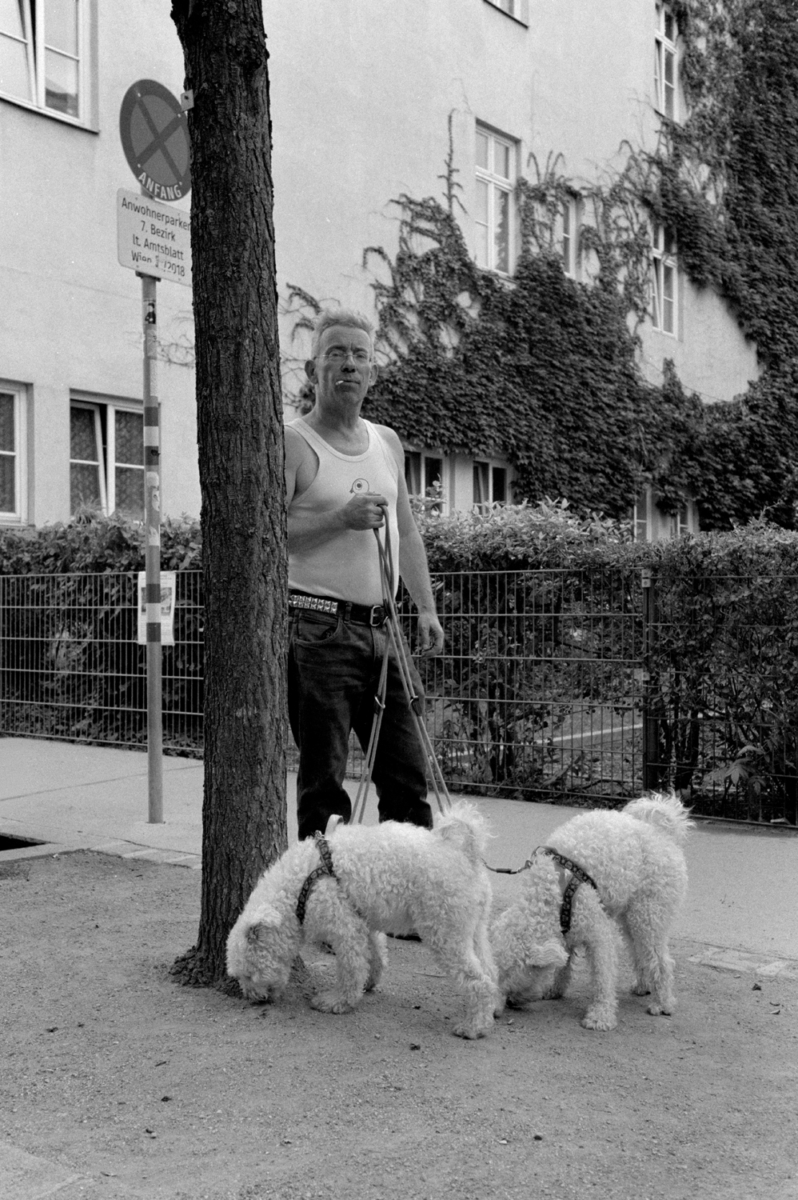 Wien, 2022