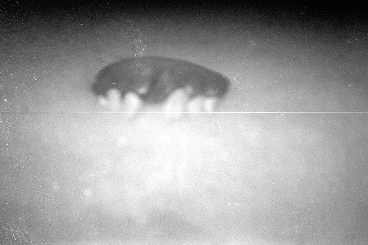 Serie: Entrisch, 2010 - 2022 (Analog)