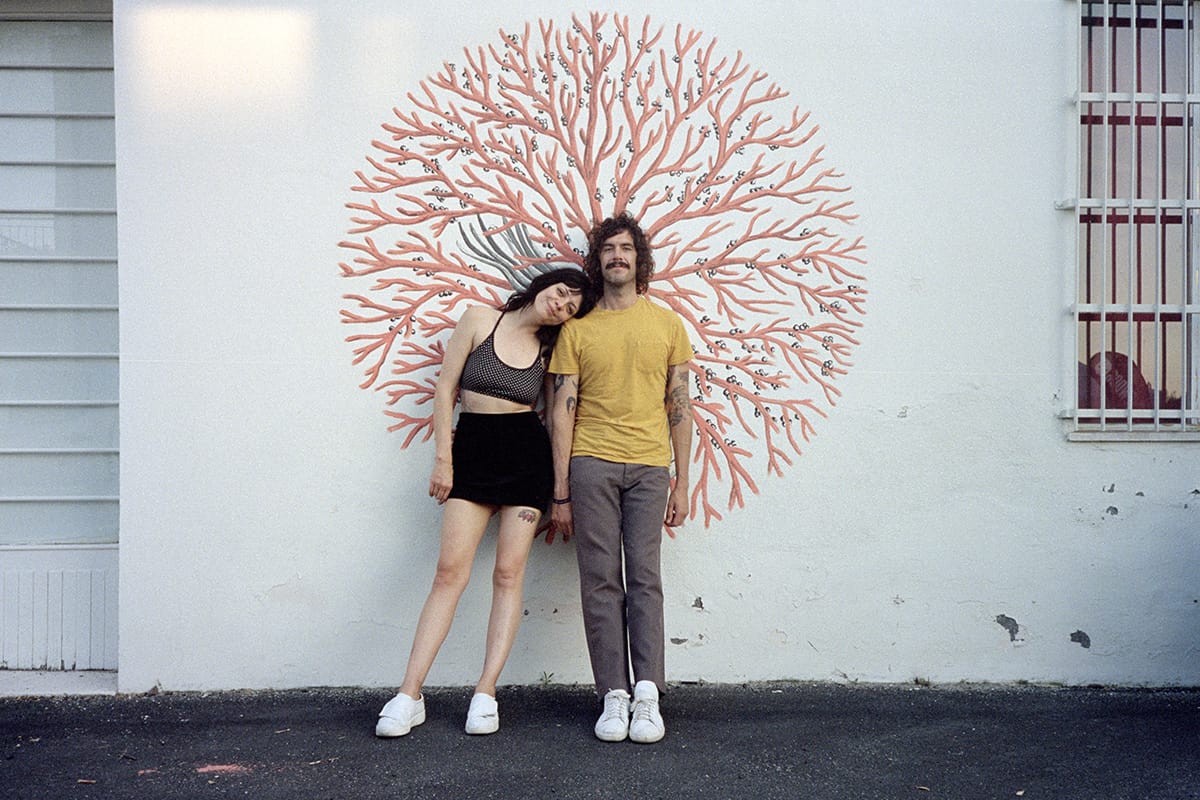 Soft Palms (2022)