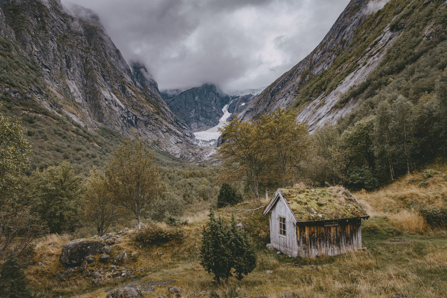 Projekt: Into The Magic Nature