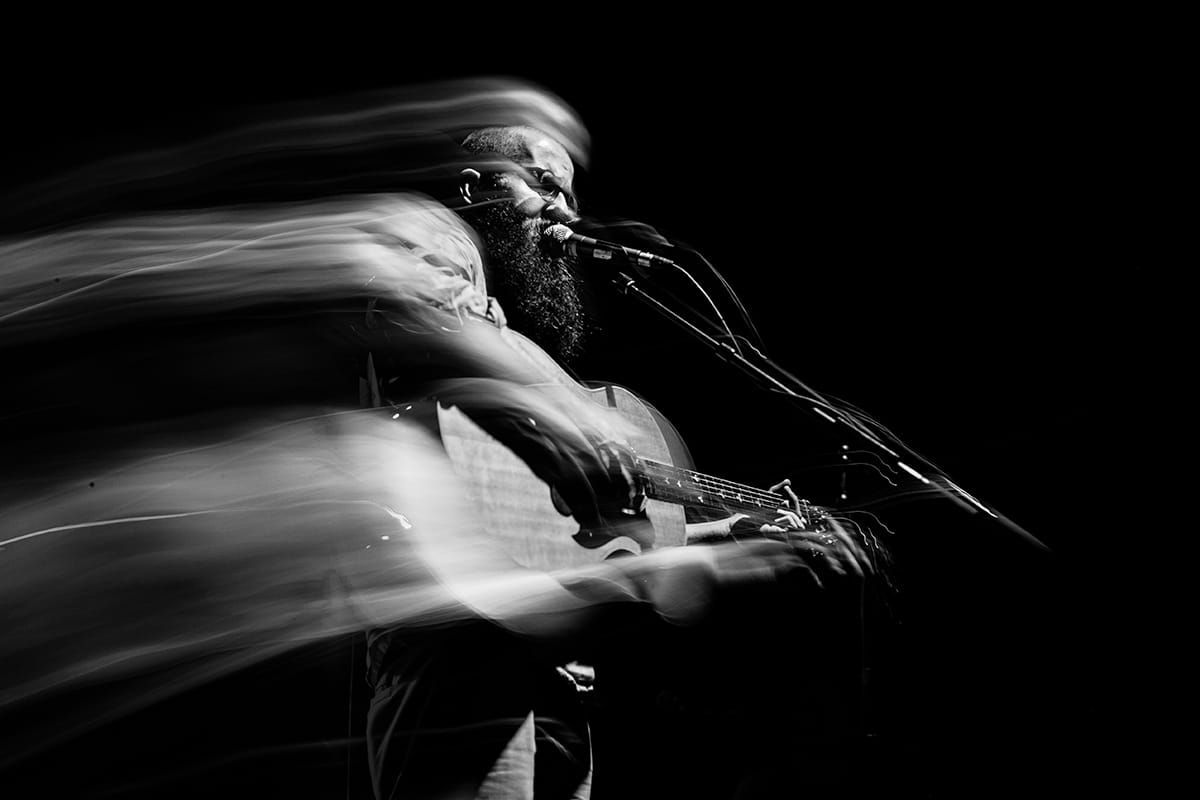 William Fitzsimmons (2011)